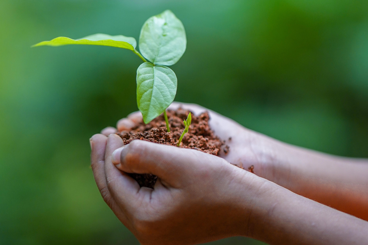 Design ohne Titel (17) Monitor 3/25